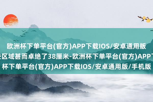 欧洲杯下单平台(官方)APP下载IOS/安卓通用版/手机版积雪厚度在某些区域甚而卓绝了38厘米-欧洲杯下单平台(官方)APP下载IOS/安卓通用版/手机版