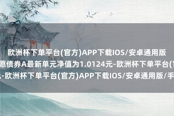 欧洲杯下单平台(官方)APP下载IOS/安卓通用版/手机版嘉实3个月情愿债券A最新单元净值为1.0124元-欧洲杯下单平台(官方)APP下载IOS/安卓通用版/手机版