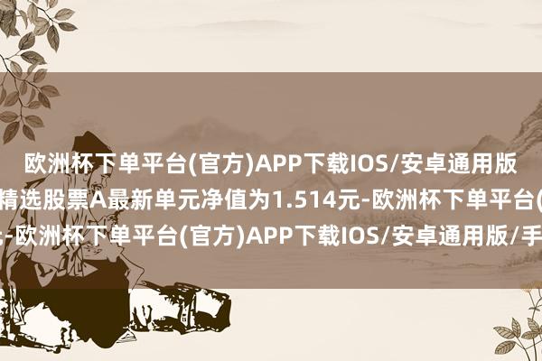 欧洲杯下单平台(官方)APP下载IOS/安卓通用版/手机版景顺长城商讨精选股票A最新单元净值为1.514元-欧洲杯下单平台(官方)APP下载IOS/安卓通用版/手机版