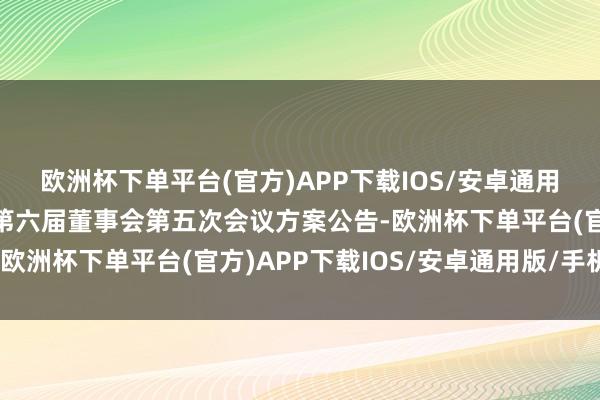 欧洲杯下单平台(官方)APP下载IOS/安卓通用版/手机版江苏有线：第六届董事会第五次会议方案公告-欧洲杯下单平台(官方)APP下载IOS/安卓通用版/手机版